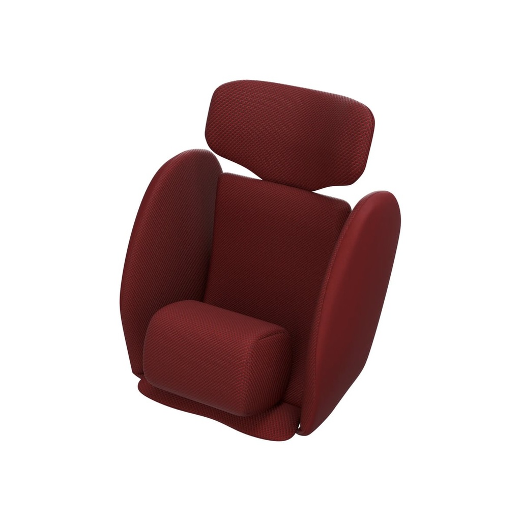 stardustinsertred1-medium.jpg