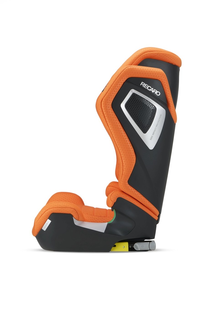 orangeracaro005.jpg