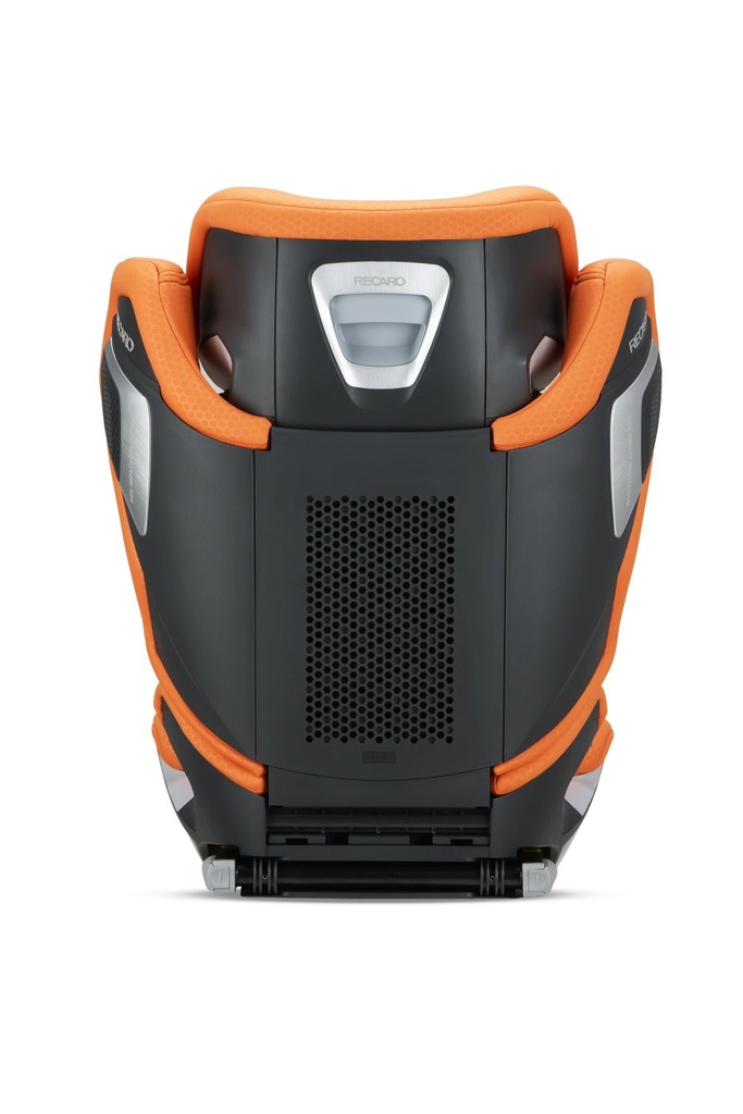 orangeracaro006.jpg