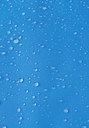 white-5100313b-639a_6.jpg