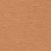 carrello_bravo_plus_tango_orange_color.jpg