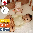 040081_2_2000.webp