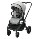 d802-07kiwasetcougarinkl.wannegrau04.jpg
