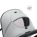 d802-07kiwasetcougarinkl.wannegrau12.jpg